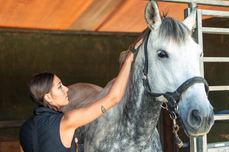 Raspadeira de pelo de cavalo: Por que e quando usar?